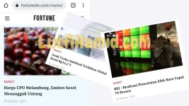 Fortune Indonesia – Bukan Sekedar Media Bisnis dan Ekonomi Semata